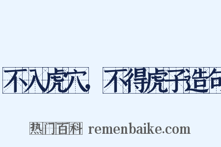 不入虎穴，不得虎子造句是什么意思的图片